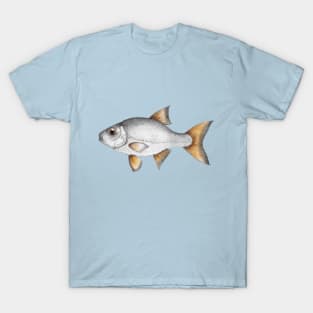 Common roach fish T-Shirt